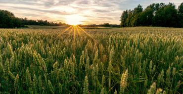 Klimatilpassede løsninger for landbruket: Nytt EU-prosjekt på 113 millioner kroner